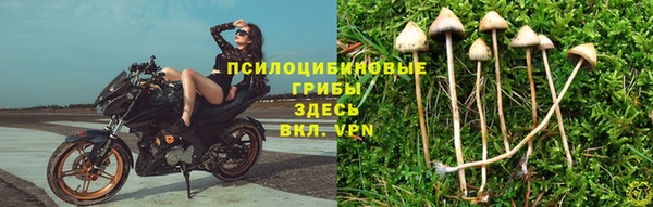первитин Алексеевка