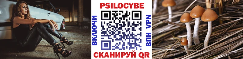 ОМГ ОМГ ССЫЛКА Пустошка Псилоцибиновые грибы мицелий